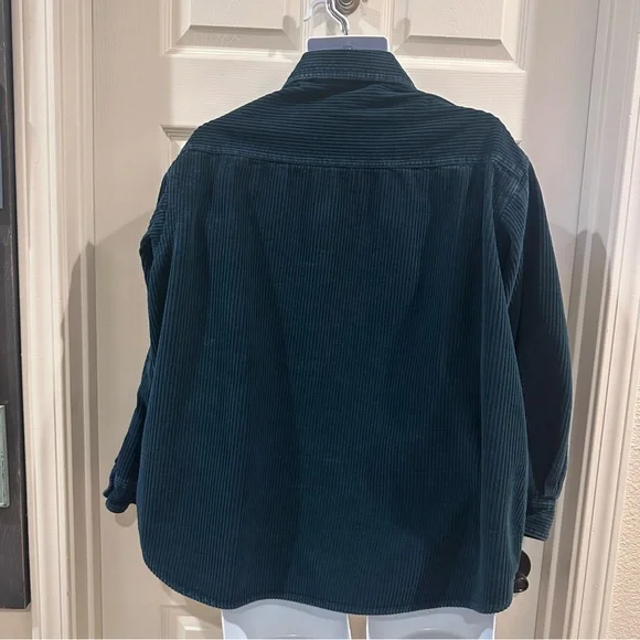 Looney Tunes Vintage Embroidered Tweety Bird Green Corduroy Shirt XL - Picture 8 of 10